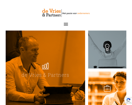De Vries & Partners Logo